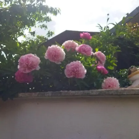 Escapade Champenoise *
