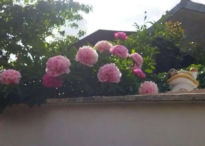 Escapade Champenoise *